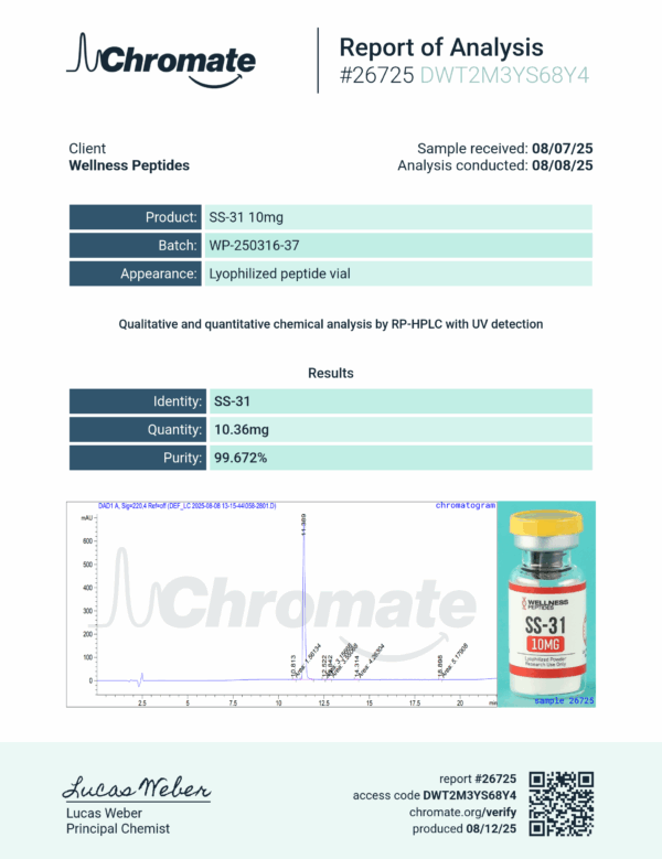 SS-31 - Image 2