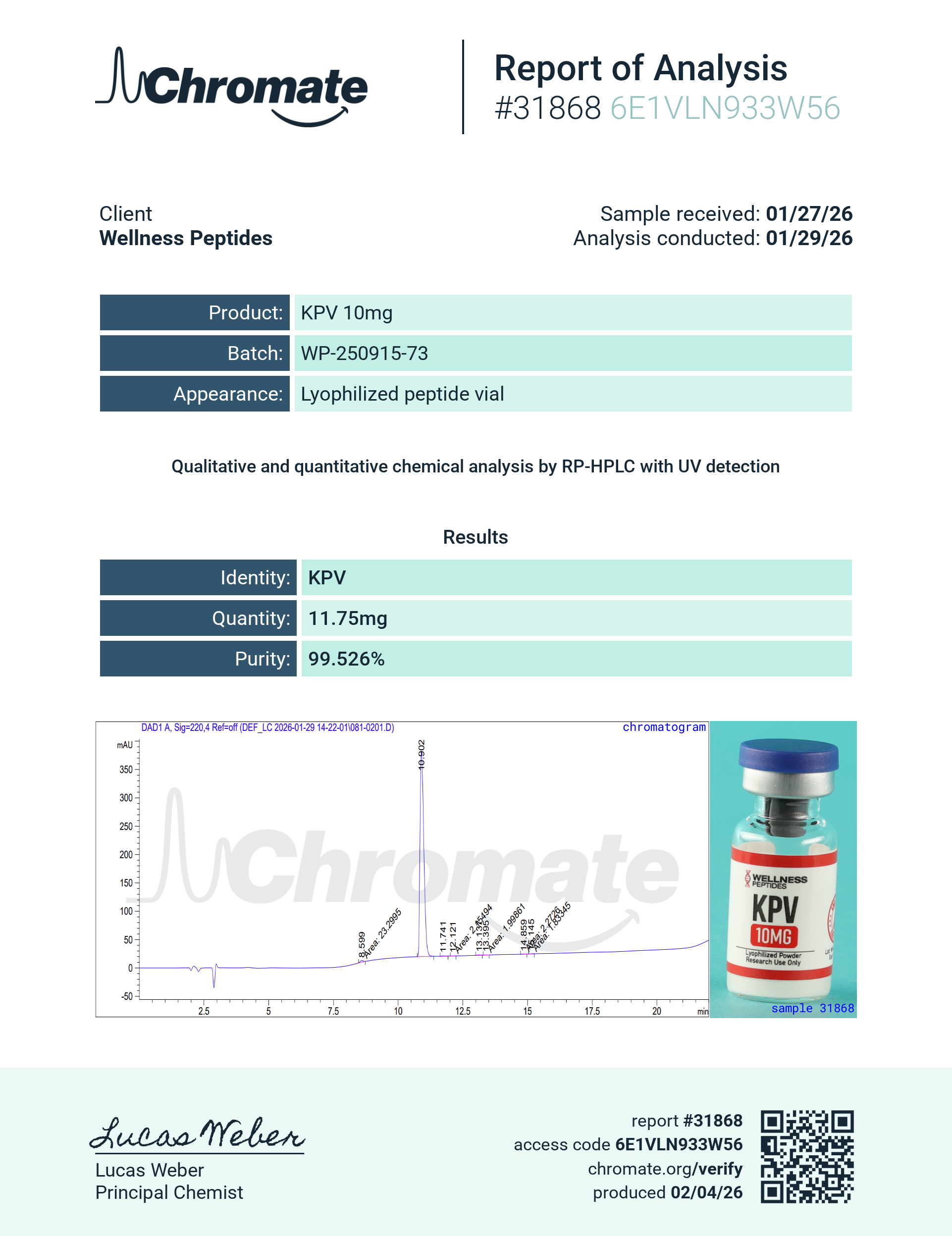 KPV (10mg) Certificate of Analysis from Wellness Peptides